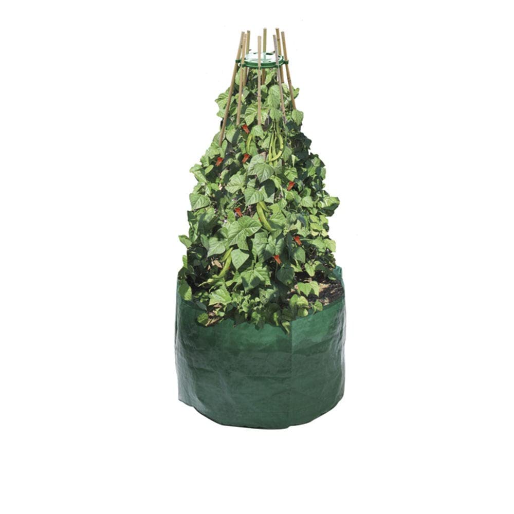 Garland Products Ltd Garland Pea & Bean Grow Bag Planter from B&Q