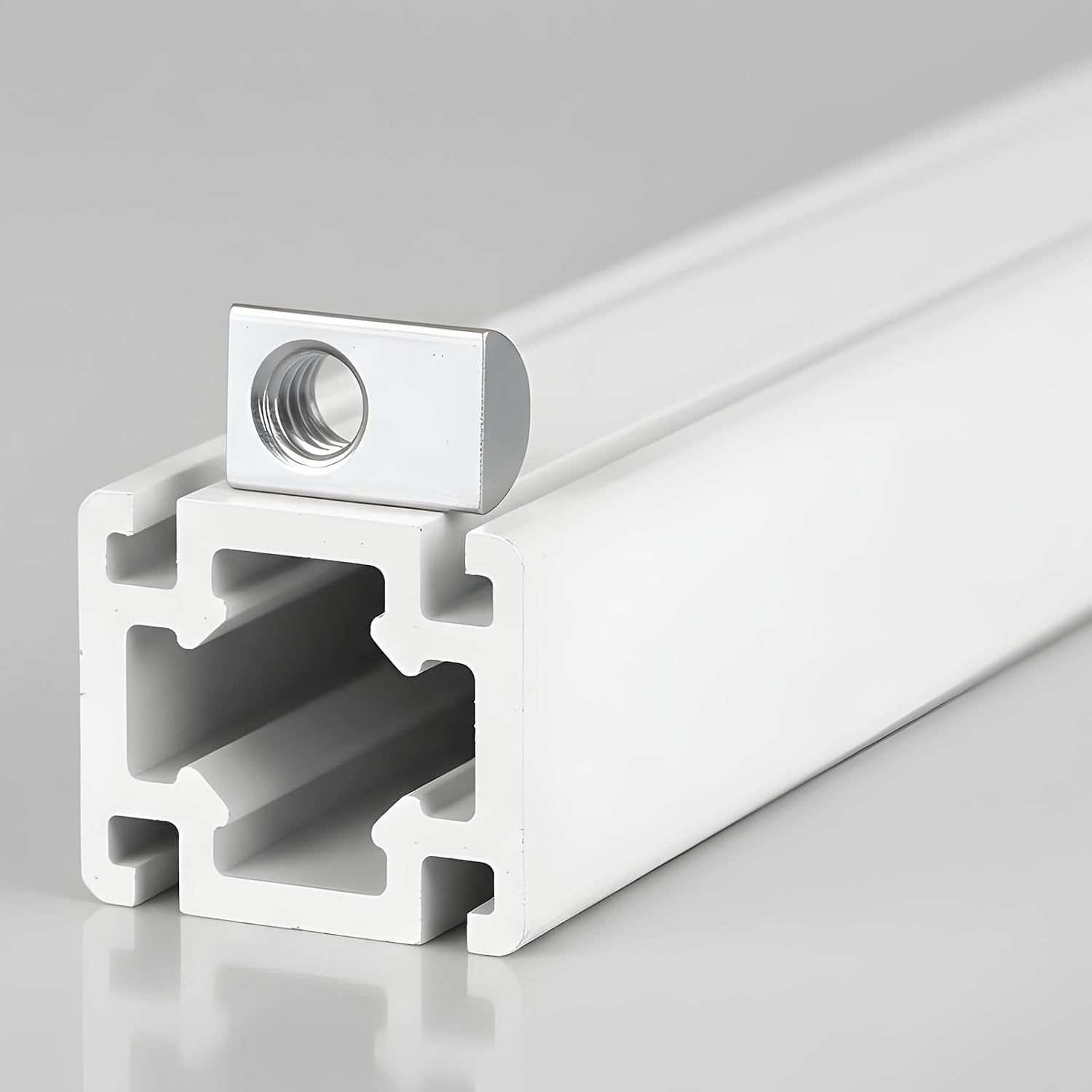 Molain 20 Packs 1/4-20 Threaded Steel Roll in T-Nut with Ball Spring, T-Slot Nuts Accessory Hardwares for 10 Series Aluminum Extrusion Profiles Rail