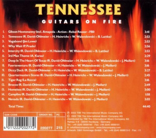 Guitars on Fire
