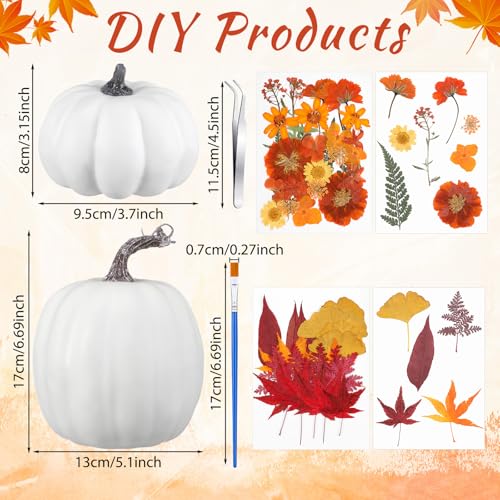 Set DIY de Calabazas Otoñales 54 Piezas Suncalla miniatura 2