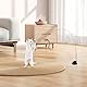 AiQInu 4 Stück Katzenspielzeug Interaktive, Katzen Spielzeug Saugnapf, 1 Katzenangel mit 2 Glöckchen Vögeln, Intelligenz Spielzeug für Katzen Zauberstab