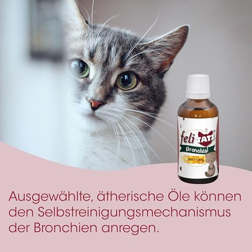 cdVet Naturprodukte feliTATZ Bronchial Liquid Ergänzungsfuttermittel für Katzen Atemwege 50ml