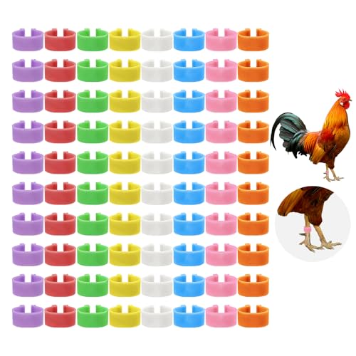 80 PCS Chicken Leg Bands Chicken Tags for Legs with 8 Color 0.6in Colorful Snap-On Poultry Identification Rings for Chickens Ducks Quails Pigeons
