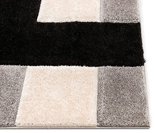 Image of Shaggy Rug for Bedroom Living Room 3X5 FEET Fluffy Plush Area Carpet with Non Slip Backing, Modern Cozy Floor Rug for Home Decor and Comfort (Black- Ivory)