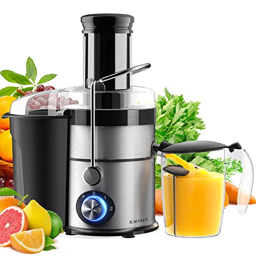 Best Juicers Canada Best Cost