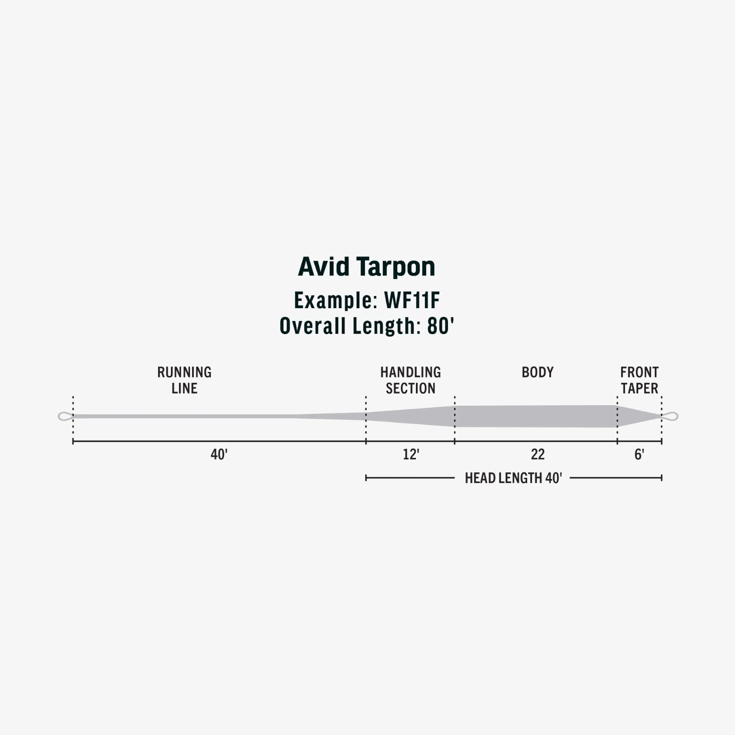 RIO Products Avid Tarpon Saltwater Fly Line, SlickCast Easy Casting, Tropical Series, WF10F, Sand - Image 3