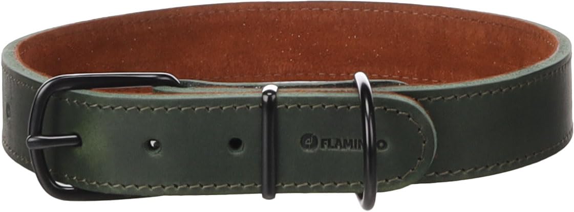 Collier Montana vert XXL 28mm de large pour sécuriser les grands chiens