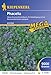 Produktbild Phacelia 2 Kg