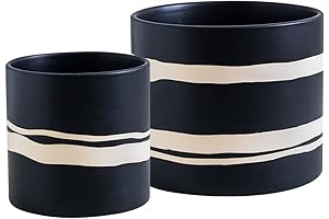 Elegant Ceramic Pots for Modern Homes: A Stylish Haven for Indoor Plants