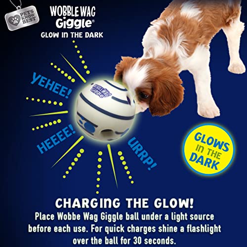 Image of Wobble Wag Giggle Ball 2 Pack- Interactive Dog Toy, Fun Giggle Sounds When Rolled or Shaken, Pets Know Best, 1 Original & 1 Glow in The Dark Ball