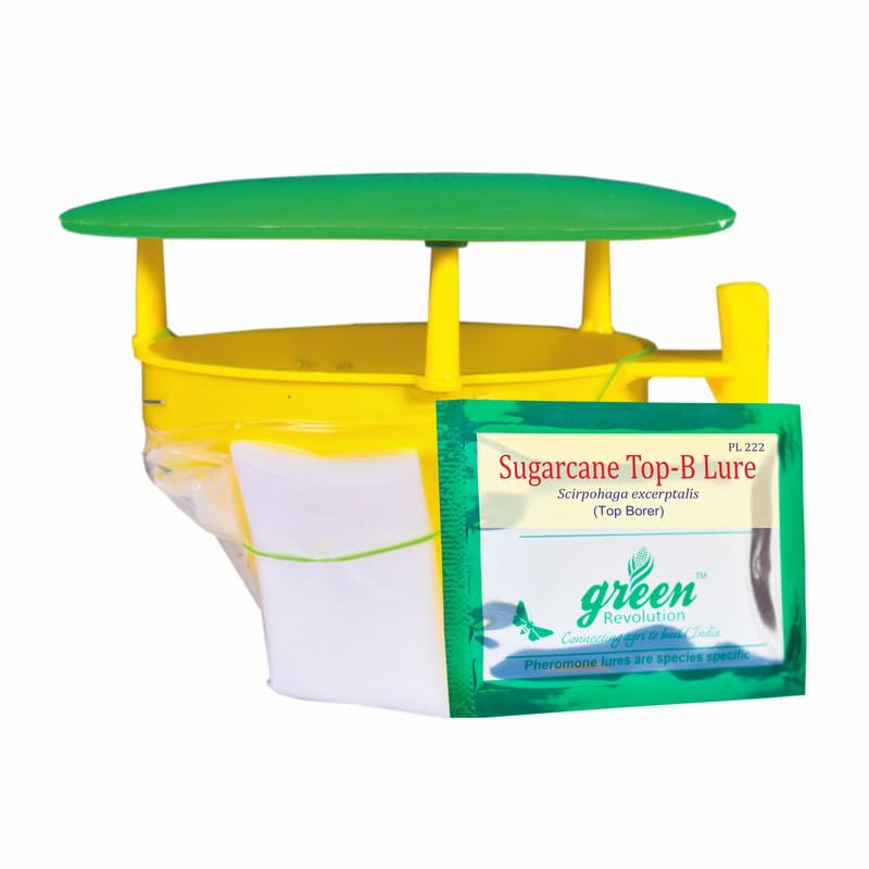 Pheromone Trap for Sugarcane Top Borer (Scirpophaga excerptalis) Funnel Trap with Sugarcane Top Borer Lure. Pack of 10. (B0C8DBL6WN) Amazon Price History, Amazon Price Tracker