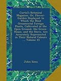  Curtis\'s Botanical Magazine, Or, Flower-Garden Displayed: In Which the Most Ornamental Foreign Plants, Cultivated in the Open Ground, the Green-House, ... in Their Natural Colours ..., Volume 45