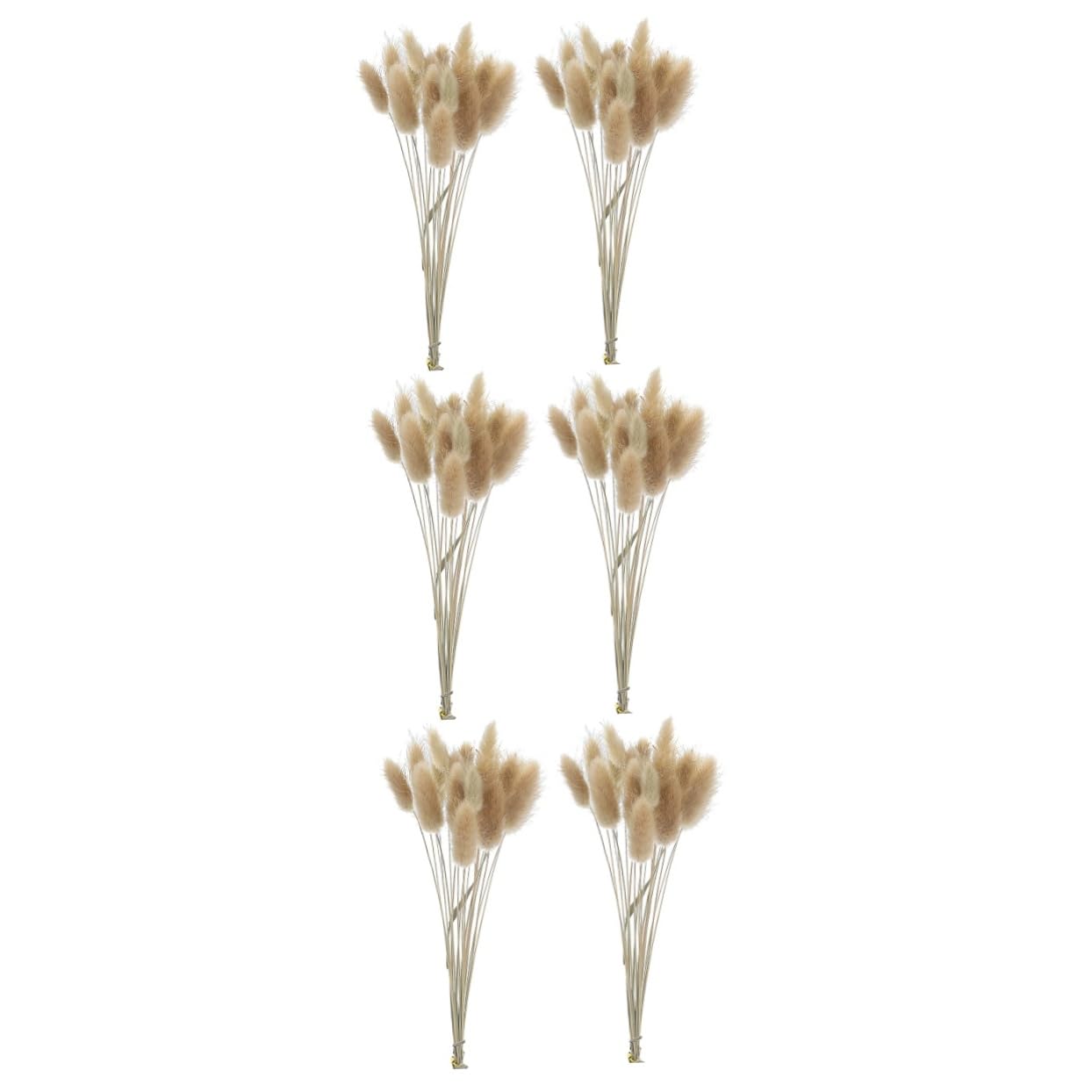 Abaodam 3pezzi Mazzi Di Fiori Secchi Pennisetum e Coniglio Per Decorazioni Naturali Bouquet Di Grano Per Casa e Matrimonio Decorazioni Per Ambienti Boho e Rurali