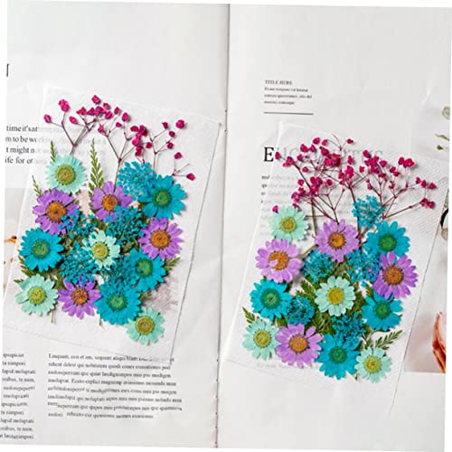 NOLITOY 50 flores secas para manualidades y decoración miniatura 7