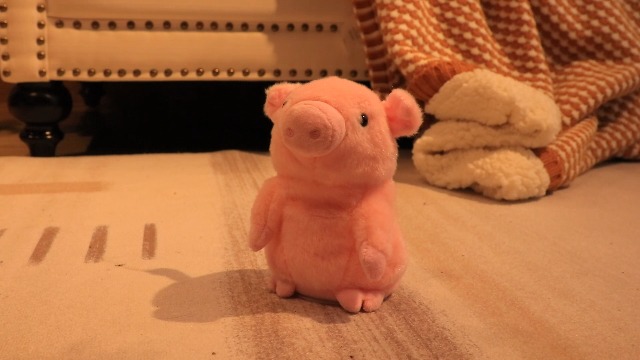 Amazon.com: Hopearl Talking Pig Repeats What You Say Piggy Nodding