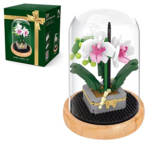 POSO ubN   ͂Ȃ l ǂ CeA hCt[ ԑ ԉ Vbv  t[AWg ςݖ DIY  CeA  j a LO o^Cf[ Mtg 蕨 v[