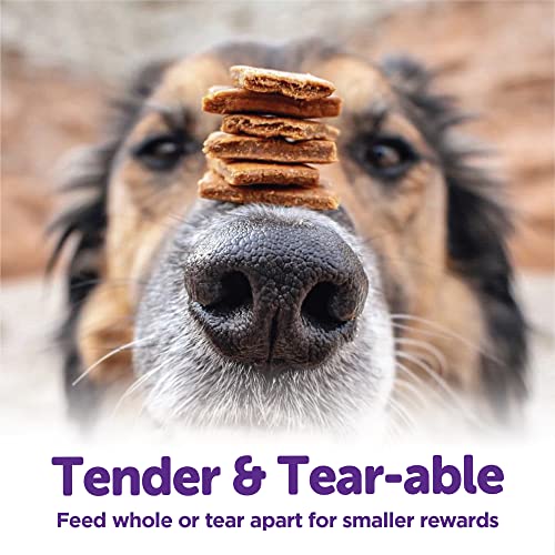 Image of Wellness Rewarding Life Dog Treats, Training Treat, Grain Free, Soft Chicken & Venison (6 Ounce Bag) (Pack of 2)