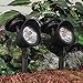 Sterno Home GL23836BK2 Paradise Solar LED 3 lumens Plastic Spot Light, 2-Pack, Black, 2 Count