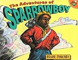 The Adventures Of Sparrowboy