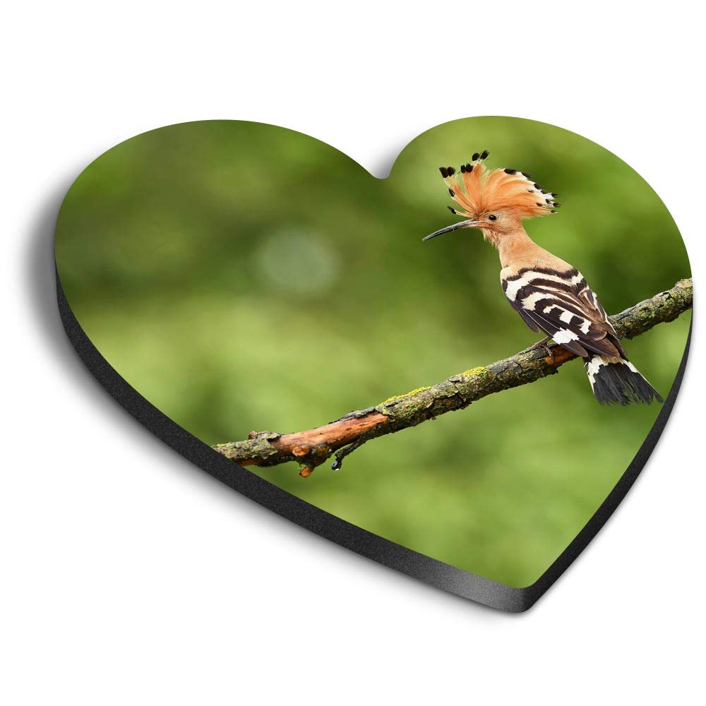Destination Vinyl Ltd Multicolor 1 X Heart Mdf Magnets - Eurasian Common Hoopoe Bird 44978