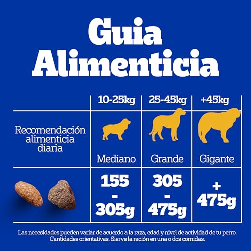 Opiniones de Adulto los más solicitados. 16 Imagen adicional