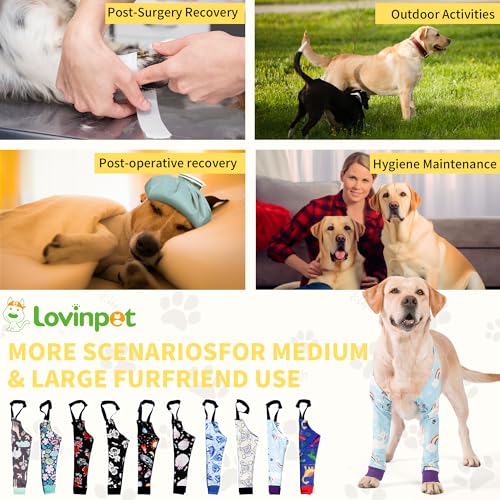 Image of LovinPet Dog Elbow Protector Anti-Licking Elbow Sleeve, Adjustable, Comfortable & Durable Front Leg Guard for Medium to Large Dogs, Prevents Licking and Chewing,Dog Sleeve,Dog Leg Sleeve,Blue