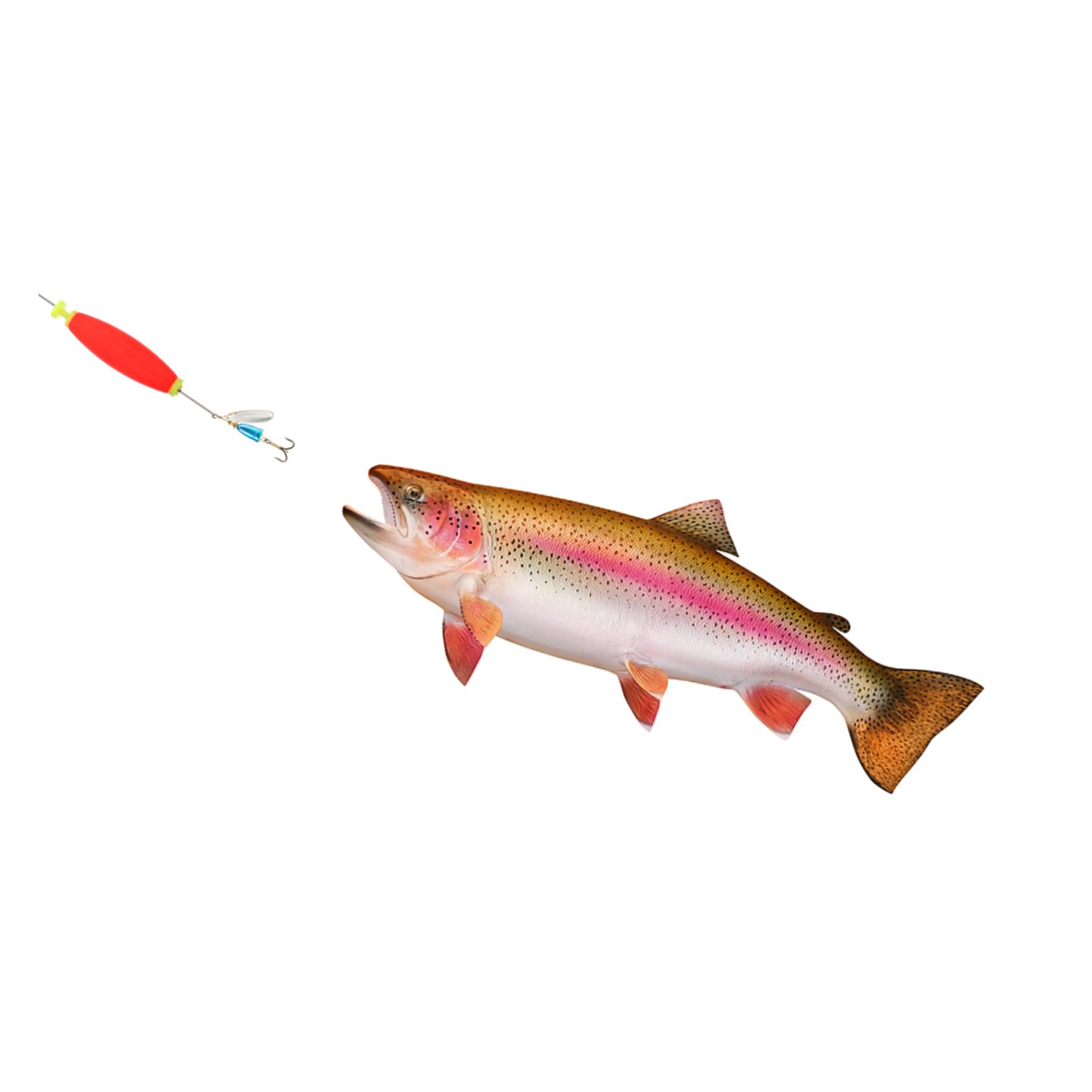 Sosoport Trousse Plates-Formes Maquereau Pivote Bobines De Plein Air Récipient Outil De Pêche Grossier S'arrête Caoutchoucs Attaquer Mer Perles Eva Rouge