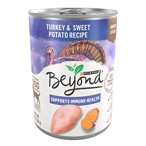 Purina Beyond Turkey and Sweet Potato Grain Free Wet Dog Food Ground Entree  pack of 12 13 Oz Cans  Cucciolini Doodles Purina beyond turkey and sweet potato grain free wet dog food ground entree  pack of 12 13 oz Cans   cucciolini doodles