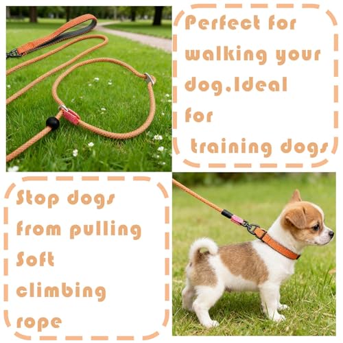 Rieoany Retrieverleine mit Zugstopp, 6mm x 180cm Hundeleine für kleine, mittlere und große Hunde, Zugstopp Halsband Hund, Leichte Hundeleine mit Halsband, Retrieverleine für Training und Spaziergang