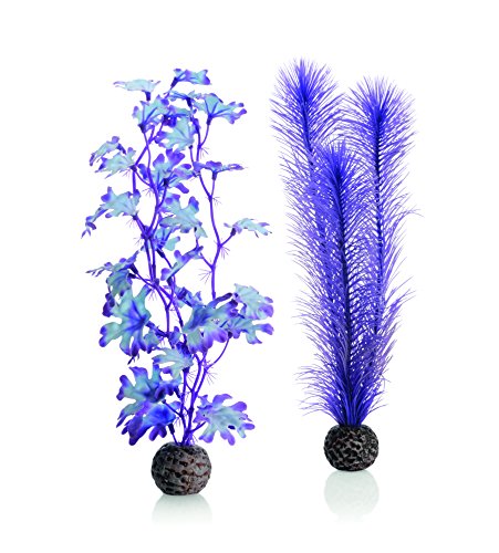 BiOrb Kelp Set Medium Purple