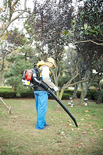 image for Merai 52CC 2-Cycle Gas Backpack Blower with Extension Tube for Snow Bl