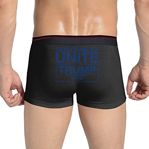 ** Set** Till Kaminglas Reiniger 6 Flaschen a. 200ml Gel mit Bürste