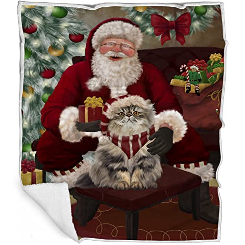 Doggie of the Day Persian Cat Blanket - Santa's Christmas Surprise - Super Soft & Warm Pet Theme for Sofa or Bed, Warm Fleece, Sherpa or Woven Material, BLNKT164236 (50x60 Sherpa)
