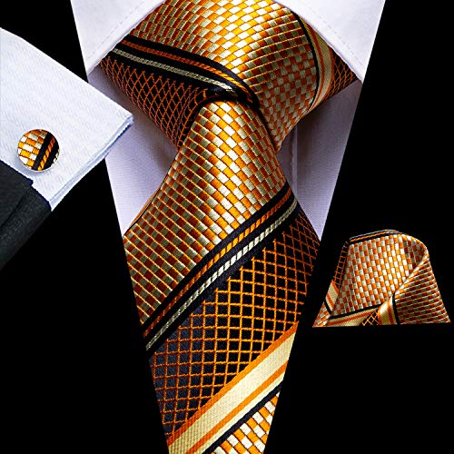 Image of Dubulle Mens Paisley Floral Silk Tie for Men Striped Necktie and Pocket Square Cufflinks Set Wedding Business