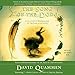 Produktbild The Song of the Dodo: Island Biogeography in an Age of Extinctions