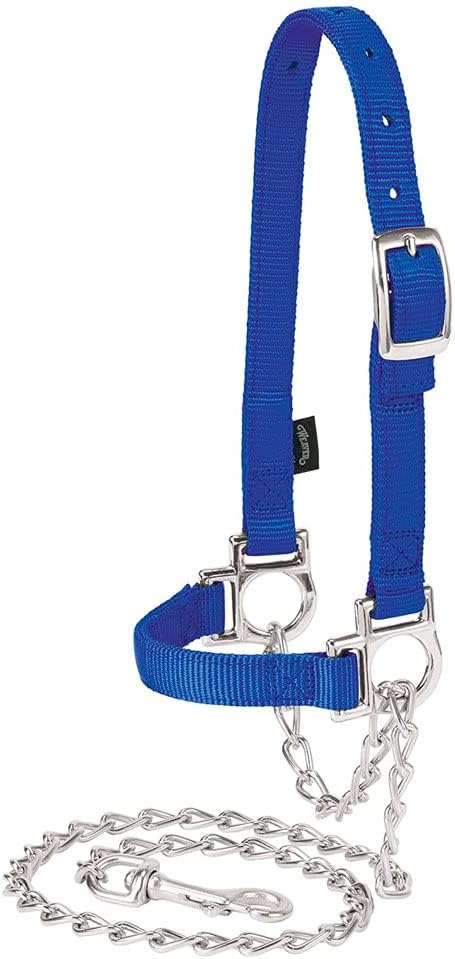 Weaver Leather Livestock Nylon Adjustable Sheep Halter with Chain Lead, Black