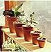 OLEEP 4inch 10pcs Terracotta Pots, Terracotta Pots for Plants/Succulent/Cactus with Drainage for Indoor, Outdoor, Home Office Decoration