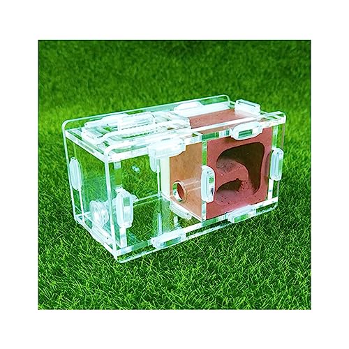 Ant Farm Mini nid de fourmis Expérience scientifique de la ferme Formicarium Nid d'insectes en plâtre acrylique Petite maison à fourmis pour jeune reine et...