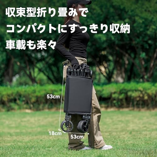 BLACKDOG キャリーワゴン CBD2550JJ048 の商品画像 6