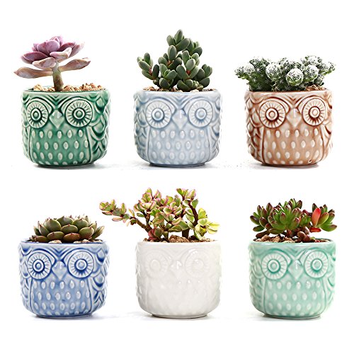 SUN-E 2.75 Inch Ceramic Owl Pattern Succulent Cactus Plant Pots Flower Pots Planters Containers Window Boxes Bonsai Pots Perfect for Candle Holder with Small Hole 6 Colors in Set