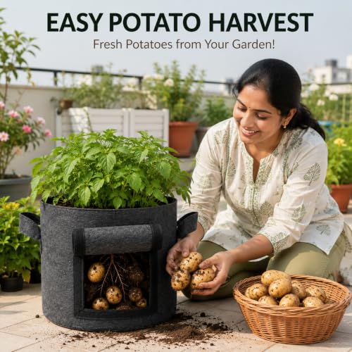 Image of Casa De Amor 15x12 Inch Potato Grow Bags for Root Vegetables, Geo Fabric 400 GSM Plant Bag (Black Color, Pack of 1)