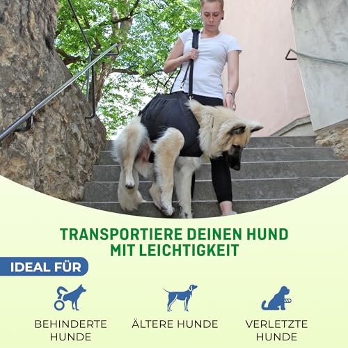 Nature Pet Ganzkörper Tragehilfe für Hunde aus 4 mm starkem Neopren/Durchgehende Tragehilfe mit stark gepolstertem Hebegurt – Ganzkörper-Hebegeschirr für Reha & Mobilität (L)