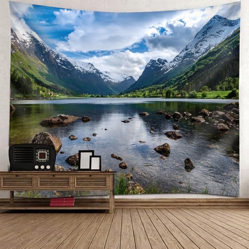 Tenture murale pour cacher un mur abime avec un paysage de lac apaisant