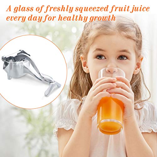 CHARMINER Stainless Steel Manual Fruit Juicer, Alloy Lemon Squeezer, Stainless Steel Lemon Orange Juicer Hand Press Detachable Extractor Tool for Oranges Lemons for Home