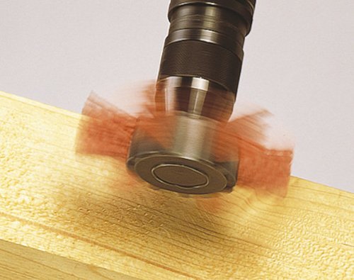 wolfcraft Nylondraht-Fächerbürste Ø 100 mm I 1512000 I zum Reinigen, Entrosten und Polieren I für Holz, Metall, Blech, Stein I vielfache Lebensdauer