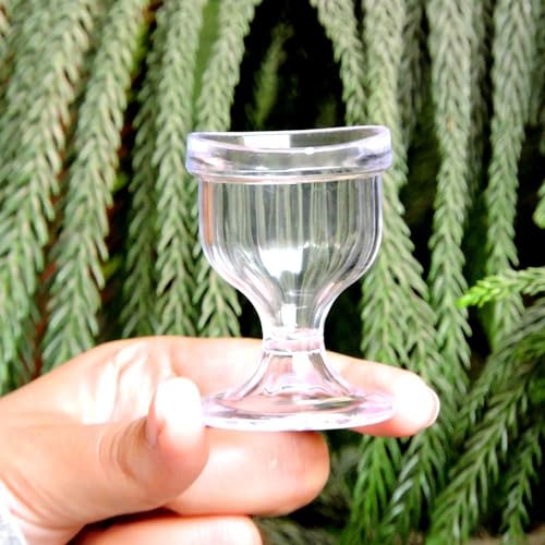 Image of AEC Eyekool Eye Wash Cup Set of 2 - Clear - Made In India