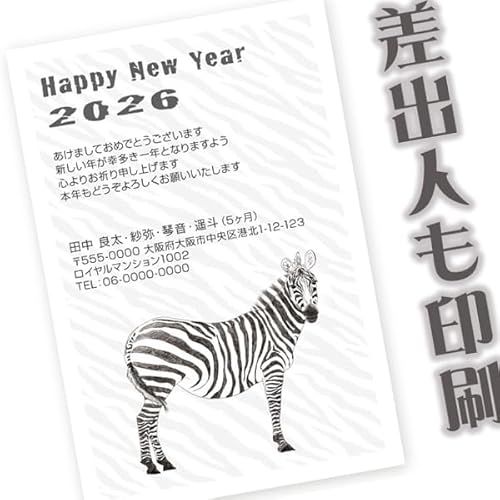 ol N 2026N ߔN nN  N͂ 30 ns009