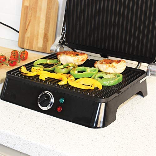 haden panini press and grill