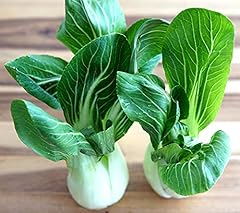 Pak Choi White Stem...
