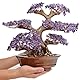 SEKDAQ Amethyst Kristall Baum,Bonsai Baum des Lebens,Heim Und Büro Dekoration,Bonsai FengShui Geldbaum for Positive Energie Und Reichtum,1251 Amethyst Anzahl,34cmx17cmx38cm